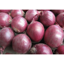 2015 New Crop Frozen Red Onion